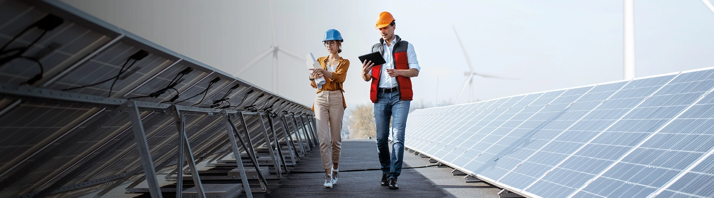 Renewables annual report 2026
